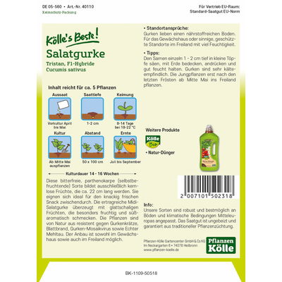 Kölles Beste Salatgurke 'Tristan'