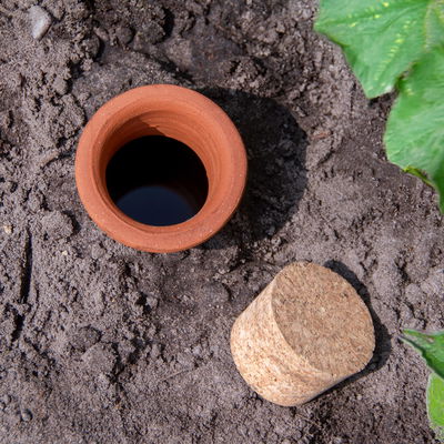 Geöffnete Olla im Boden eingepflanzt