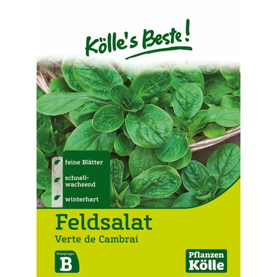 Kölles Beste Gemüsesamen Feldsalat 