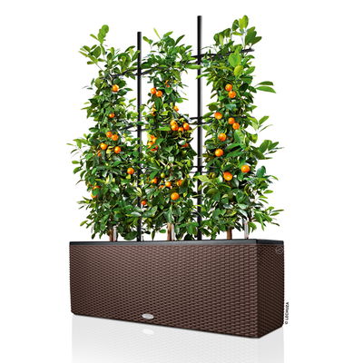 Lechuza 'Trio Cottage 30', mokka, ca. 100 x 32 x H 34 cm