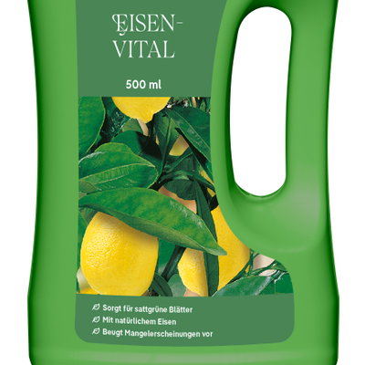 Kölle Bio Eisen-Vital, 500 ml Kölle Bio Eisen-Vital, 500 ml