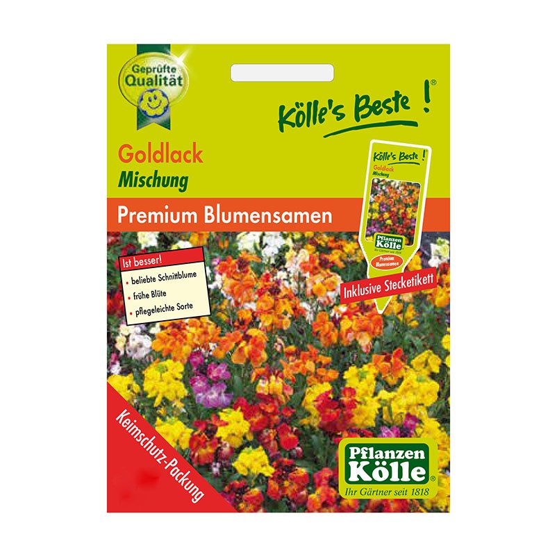 Kölle's Beste Blumensamen Goldlack Mix (Cheiranthus)