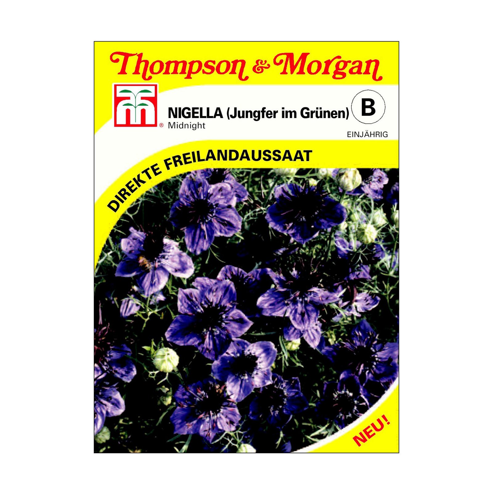 Nigella (Jungfer im Grüner) / tiefblaue Blüten, Freilandaussaat, seidig