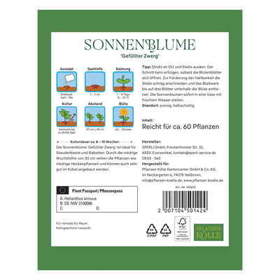 Kölles Beste Blumensamen, Sonnenblume 'Gefüllter Zwerg'