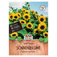 Saatgut Sonnenblume 'Sperli’s Gigant'