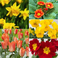 Pflanzenkreation Frühlingskick, 7 Pflanzen inkl. Erde