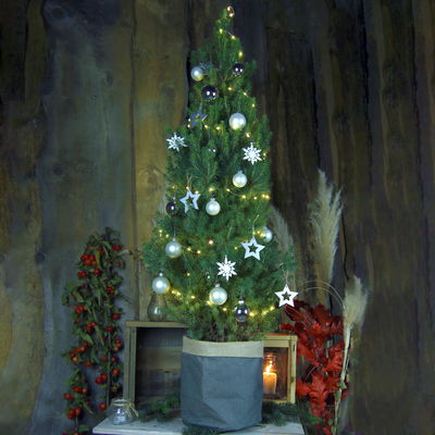 Weihnachtsbäumchen inkl. Deko, silber-weiß, Höhe 120 cm, Topf-Ø 26 cm Weihnachtsbäumchen inkl. Deko, silber-weiß, Höhe 120 cm, Topf-Ø 26 cm