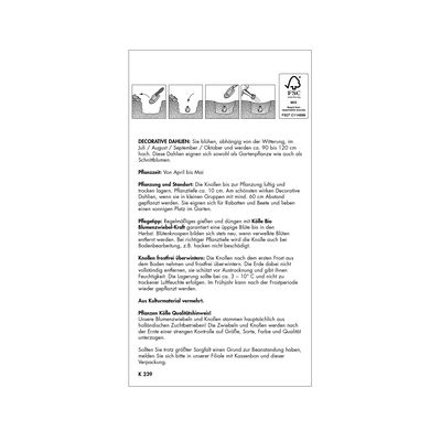 Decorative Dahlie 'Mirella', gelb-orange, Größe 1, 1 Blumenknolle