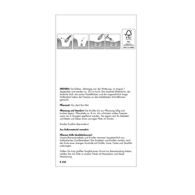 Freesien Gefüllte Mischung, Farbmix, 10 Blumenzwiebeln