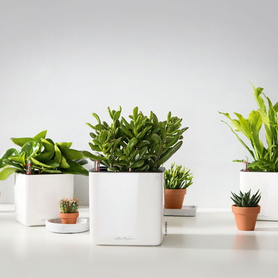 Lechuza 'Cube Glossy 16', weiß, ca. 17 x 17 x H 16 cm Lechuza 'Cube Glossy 16', weiß, ca. 17 x 17 x H 16 cm