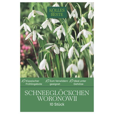 Schneeglöckchen (Galanthus Woronowii) weiß, 10 Blumenzwiebeln Schneeglöckchen (Galanthus Woronowii) weiß, 10 Blumenzwiebeln