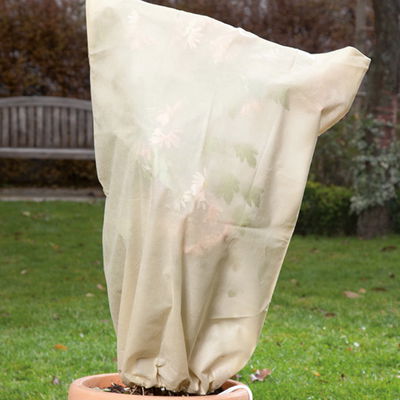 Kölles Beste Kübelpflanzen-Sack 'Spezial', beige, B60 x H80 cm, 2er-Pack Kölles Beste Kübelpflanzen-Sack 'Spezial', beige, B60 x H80 cm, 2er-Pack
