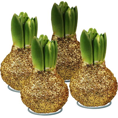 Hyazinthe in Wachs Glitter Metallic gold, 4 Stück