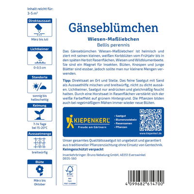 Blumensamen, Gänseblümchen, weiß