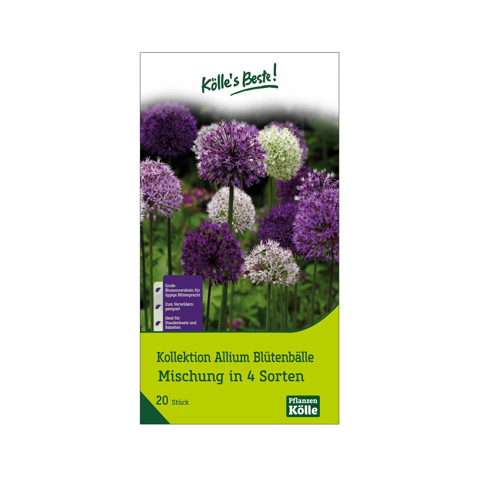 Allium Mischung, 20 Blumenzwiebeln