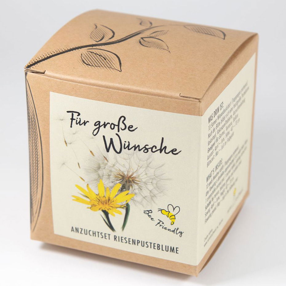 Anzuchtset Riesenpusteblume, gelb