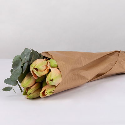 Schnittblumen-Mix aus 5 lachsfarbenen Amaryllis & 5 Eukalyptus Schnittblumen-Mix aus 5 lachsfarbenen Amaryllis & 5 Eukalyptus