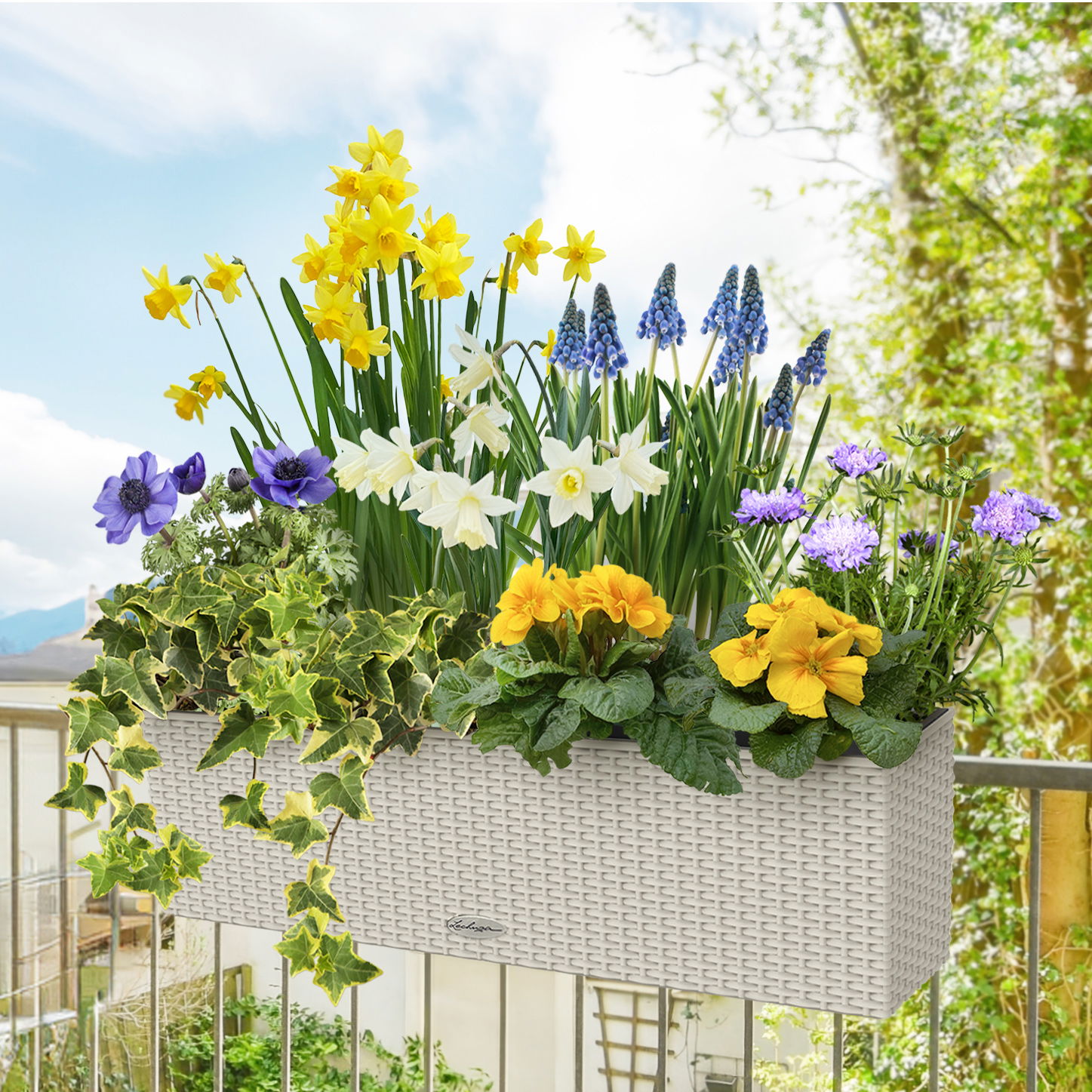 Pflanzenset Frühling