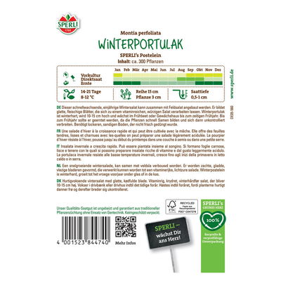 Saatgut Winterportulak 'Postelein' Saatgut Winterportulak 'Postelein'