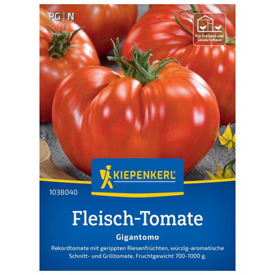 Tomatensamen, Fleischtomaten 'Gigantomo' Tomatensamen, Fleischtomaten 'Gigantomo'