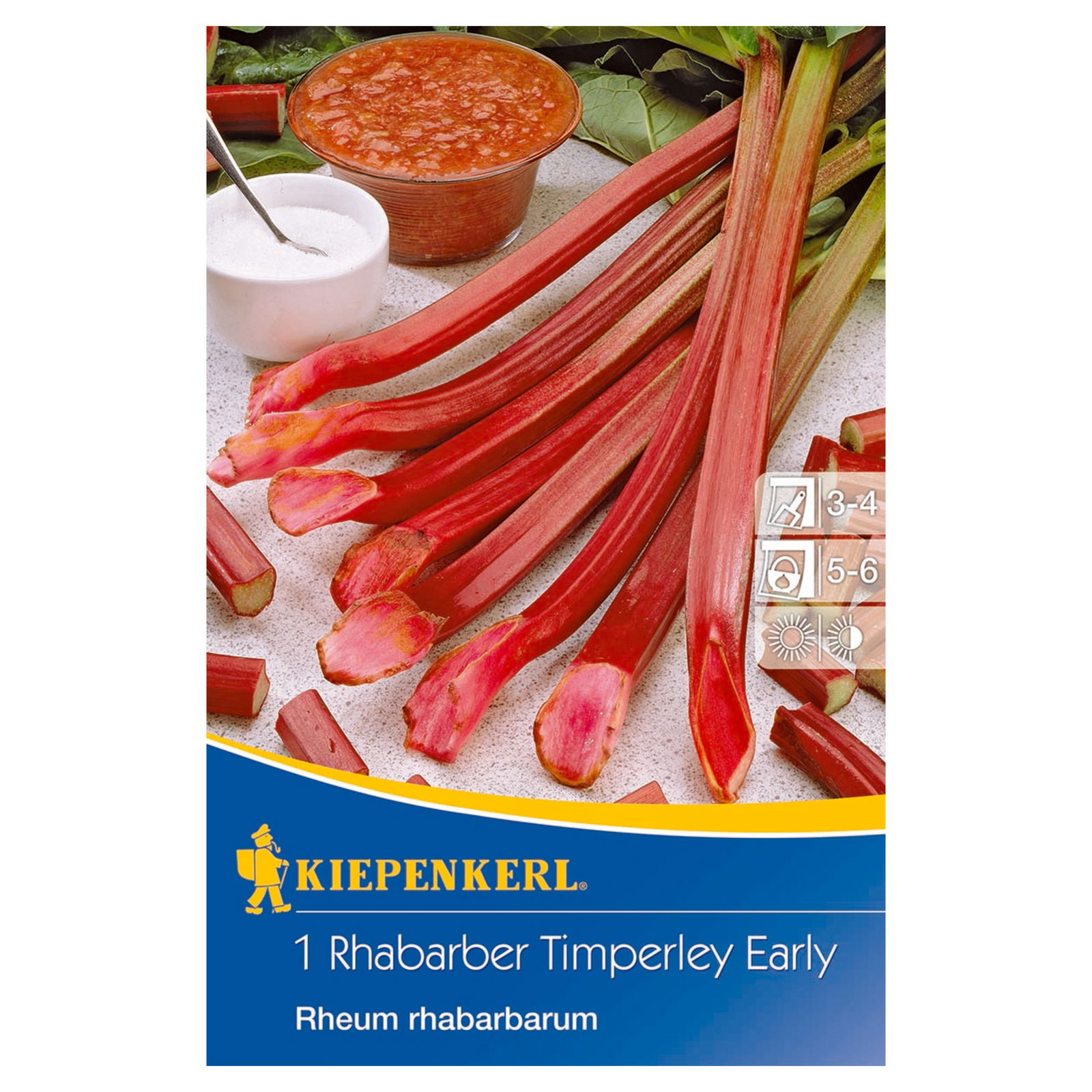 Kiepenkerl Rhabarber 'Timperley Early®'