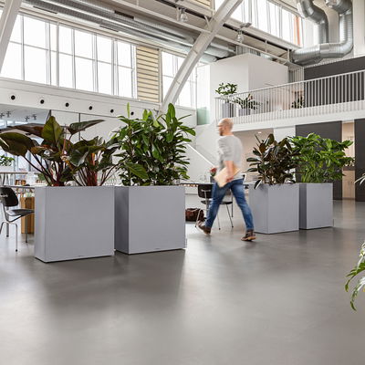 Lechuza 'Canto Stone 80 wide', steingrau, ca. 79 x 37 x H 76 cm