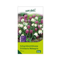 Schachbrettblume (Fritillaria Meleagris) lila/weiß, 10 Blumenzwiebeln