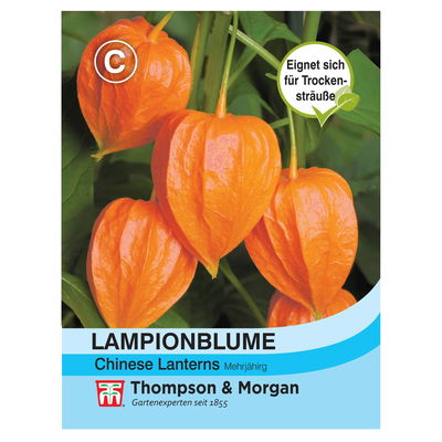 Thompson & Morgan Blumensamen Lampionblume