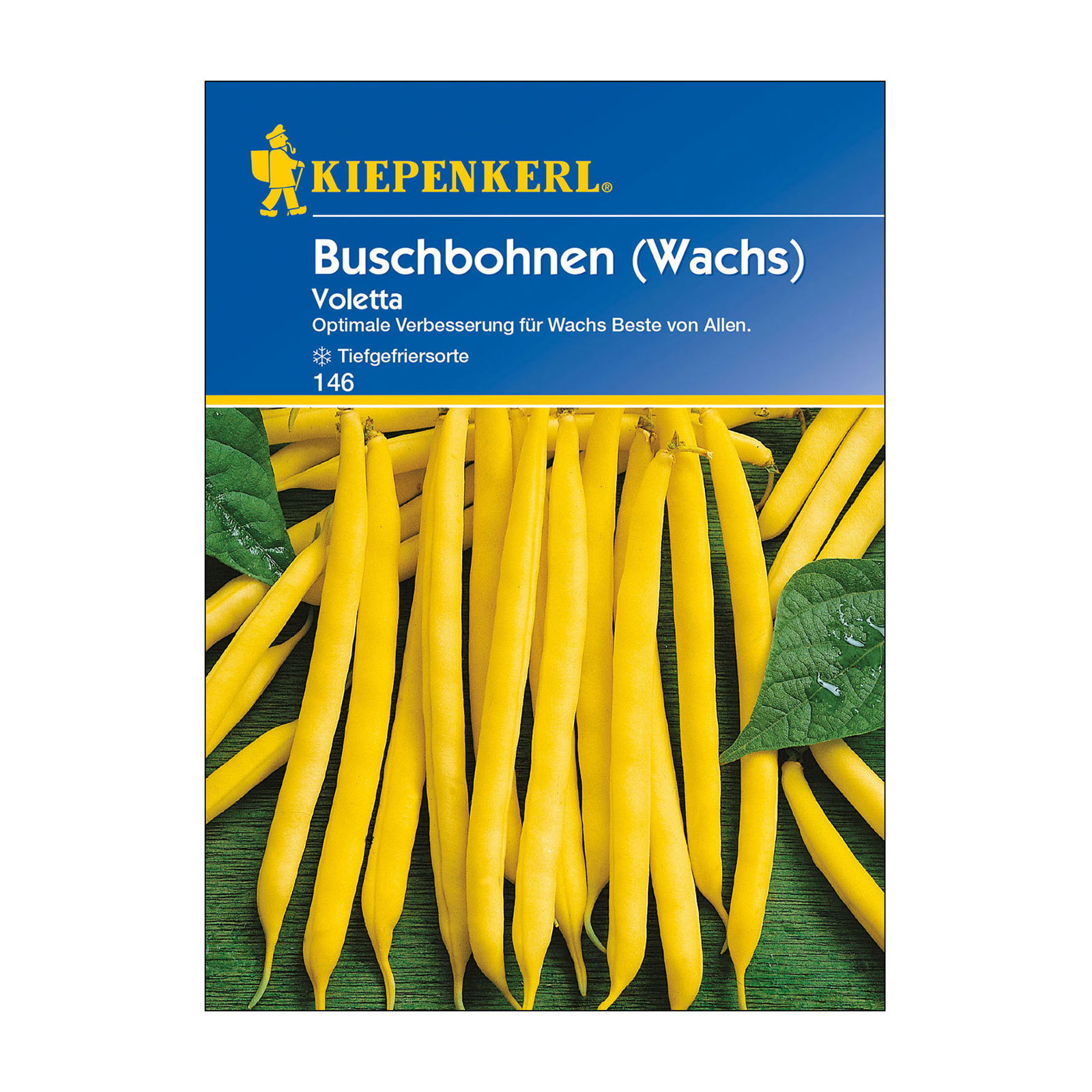 Gemüsesamen, Buschbohnen 'Voletta'