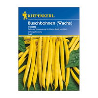 Gemüsesamen, Buschbohnen 'Voletta'