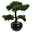 Kunstpflanze Bonsai Zeder grün, im schwarzen Keramiktopf, mit Kies, ca. 37 cm
