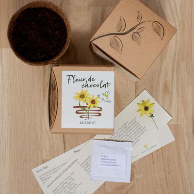 Anzuchtset Fleur de Chocolat, Saatgut und Anzuchterde inklusive Anzuchtset Fleur de Chocolat, Saatgut und Anzuchterde inklusive
