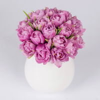 Blumenbund mit Tulpen 'Double Price', 30er-Bund, lila, inkl. gratis Grußkarte