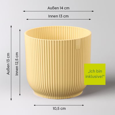 Tillandsie oerstediana, gelb, im Übertopf Vibes gelb, Topf-Ø 12 cm Tillandsie oerstediana, gelb, im Übertopf Vibes gelb, Topf-Ø 12 cm