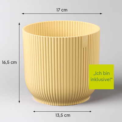 Vriesea 'Astrid', rot, im Übertopf Vibes gelb, Topf-Ø 12 cm Vriesea 'Astrid', rot, im Übertopf Vibes gelb, Topf-Ø 12 cm