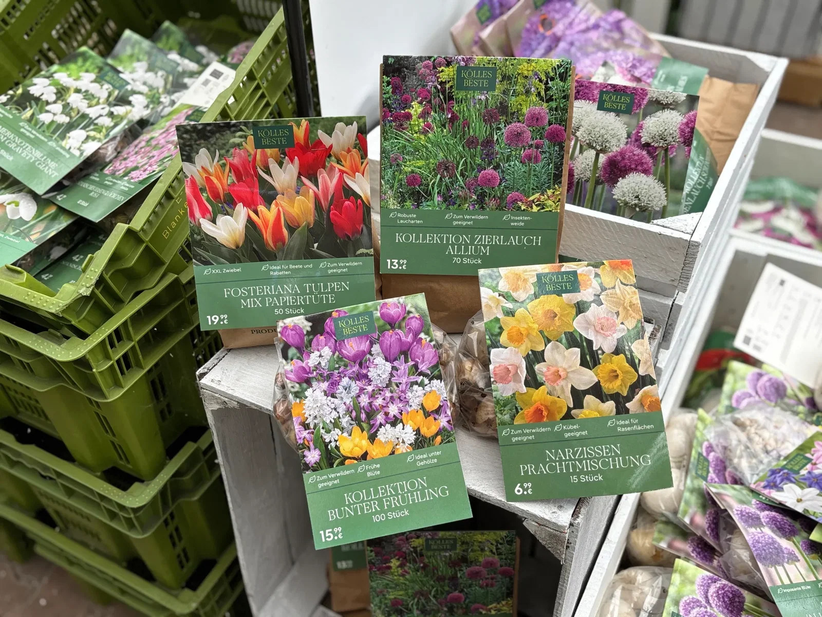 Verschiedenste Blumenzwiebeln für die Herbstpflanzung Verschiedenste Blumenzwiebeln für die Herbstpflanzung