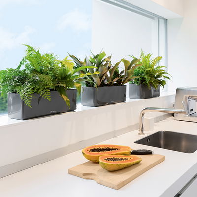 Lechuza 'Cube Glossy Triple', anthrazit highloss, ca. 14 x 40 x H 13,5 cm Lechuza 'Cube Glossy Triple', anthrazit highloss, ca. 14 x 40 x H 13,5 cm