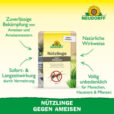 Neudorff Bestell-Set Nützlinge gegen Ameisen, 10 Mio Stück Neudorff Bestell-Set Nützlinge gegen Ameisen, 10 Mio Stück