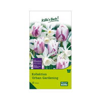 Blumenzwiebel-Kollektion 'Urban Gardening', weiß/violett, 15 Blumenzwiebeln