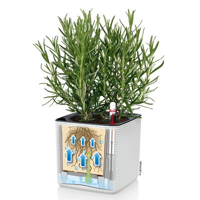 Lechuza 'Cube Color 14', sandbraun, ca. 14 x 14 x H 13,5 cm