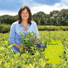 Heike Hinrichs Laubgehölze Heike Hinrichs Laubgehölze