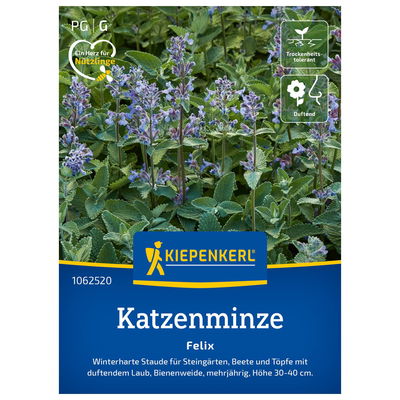 Blumensamen, Katzenminze 'Felix', lila