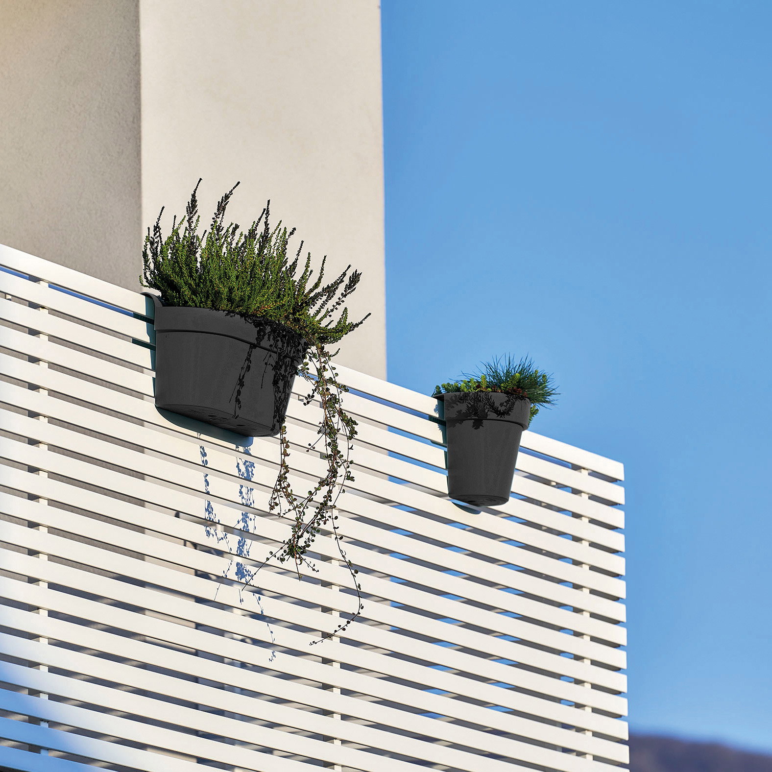Euro 3 Plast Hängekasten 'UP Cassetta', anthrazit, ca. 50 x 21 x H 23 cm Euro 3 Plast Hängekasten 'UP Cassetta', anthrazit, ca. 50 x 21 x H 23 cm