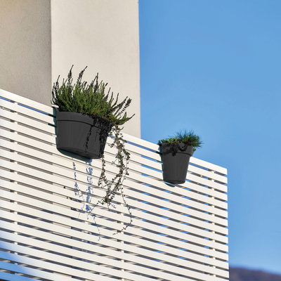Euro 3 Plast Hängekasten 'UP Cassetta', anthrazit, ca. 50 x 21 x H 23 cm Euro 3 Plast Hängekasten 'UP Cassetta', anthrazit, ca. 50 x 21 x H 23 cm