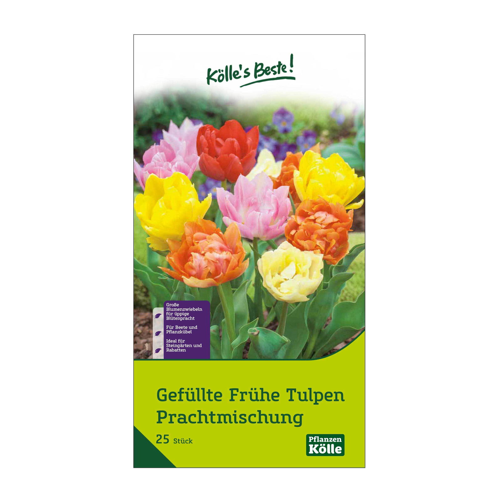 Gefüllte frühe Tulpen Prachtmischung 25 Blumenzwiebeln