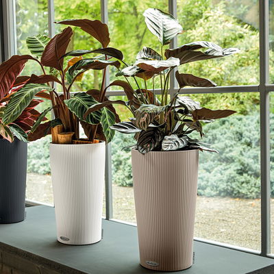 Lechuza 'Cilindro Color 23', sandbraun, ca. Ø 23 x H 41 cm