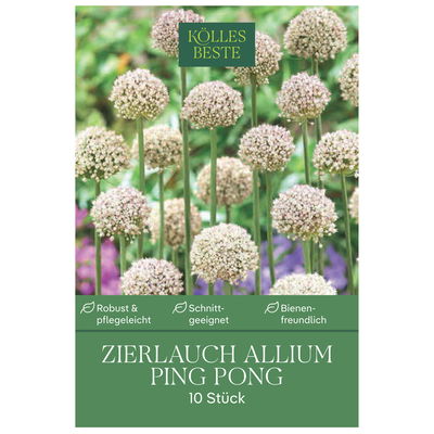 Zierlauch Allium Ping Pong, 10 Zwiebeln