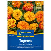Blumensamen, Studentenblume 'Cresto Mix'