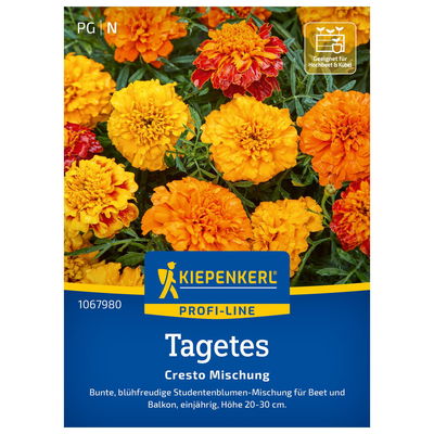 Blumensamen, Studentenblume 'Cresto Mix' Blumensamen, Studentenblume 'Cresto Mix'