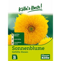 Kölle's Beste Blumensamen Sonnenblumen Gefüllte Riesen (Helianthus)